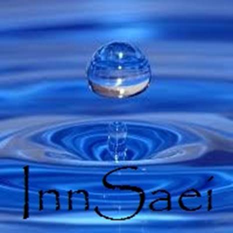 InnSaei EESystem
